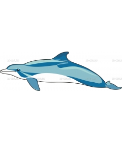 DOLPHBOT