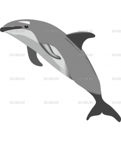 DOLPHIN