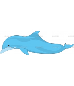 DOLPHIN2