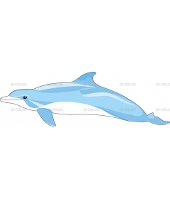 DOLPHIN4