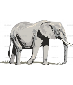 ELEPHNT2