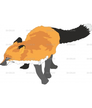 FOX1