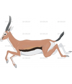 GAZELLE