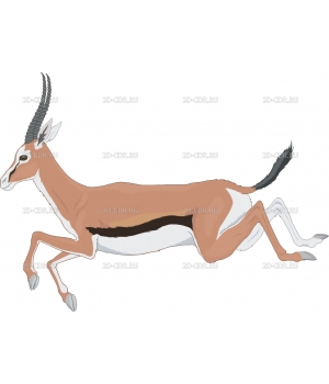 GAZELLE