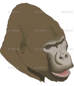 GORILLA