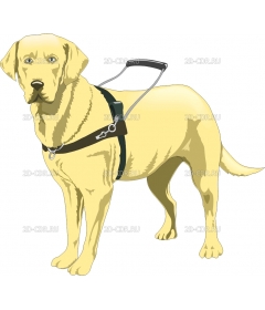 GUIDEDOG