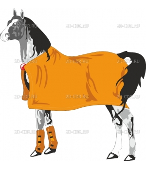 HORSE1