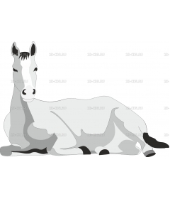 HORSE3