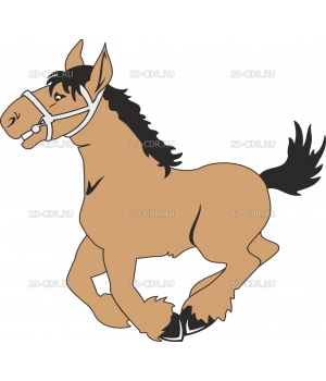 HORSE329