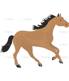 HORSE7