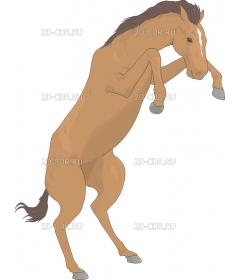 HORSEONH