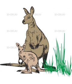 KANGAROC