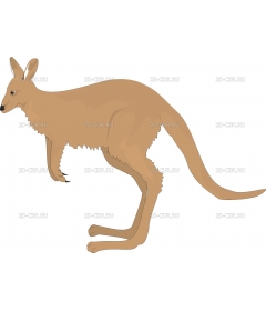 KANGAROO