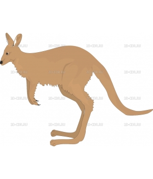 KANGAROO