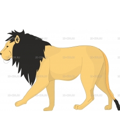 LION1