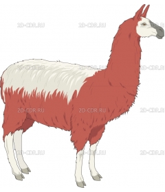 LLAMA