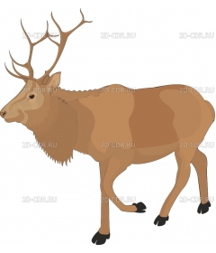 M_ELK