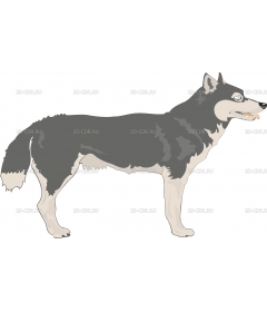 MALAMUTE