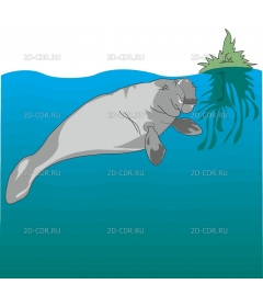 MANATEET