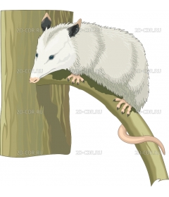 OPOSSUM