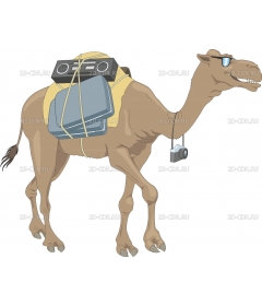 PCAMEL