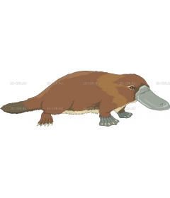 PLATYPUS