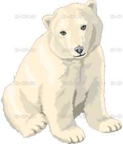 POLARCUB