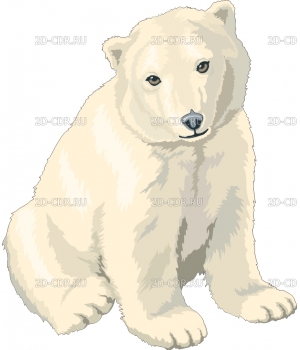 POLARCUB