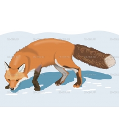 REDFOX