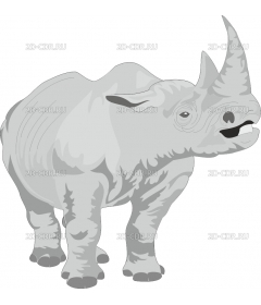 RHINO2