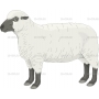 Векторный клипарт «SHEEPT»