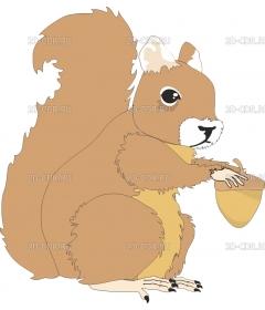 SQUIREL2