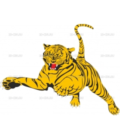 TIGER_C