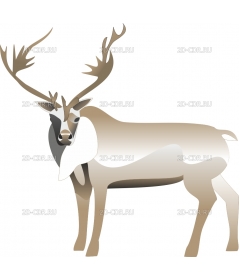 WCARIBOU