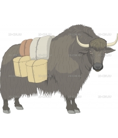 YAK