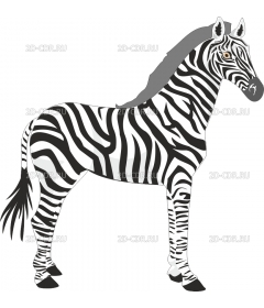 ZEBRA1