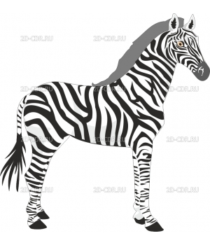 ZEBRA1