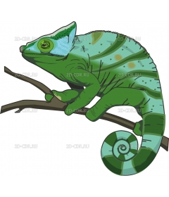 chameleo