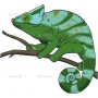 Векторный клипарт «chameleo»