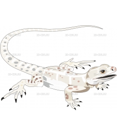 LIZARD3