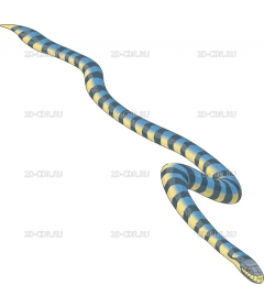 seasnake