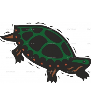 Turtle9