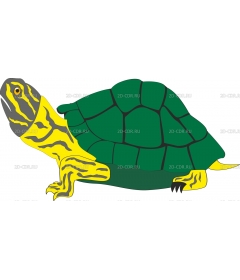 TURTLEC