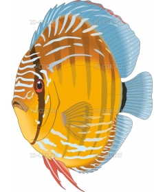 DISCUS