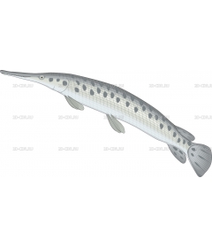 GAR