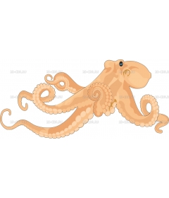 OCTOPUS1