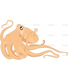 OCTOPUS2