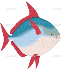 OPAH