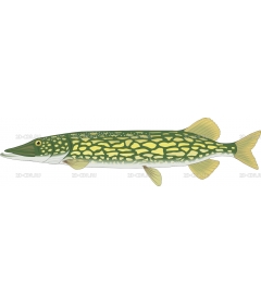 PICKEREL