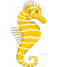 SEAHORSE